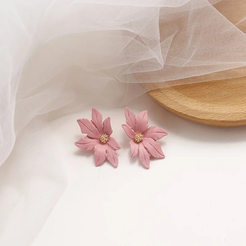 Korean Maple Leaf Stud