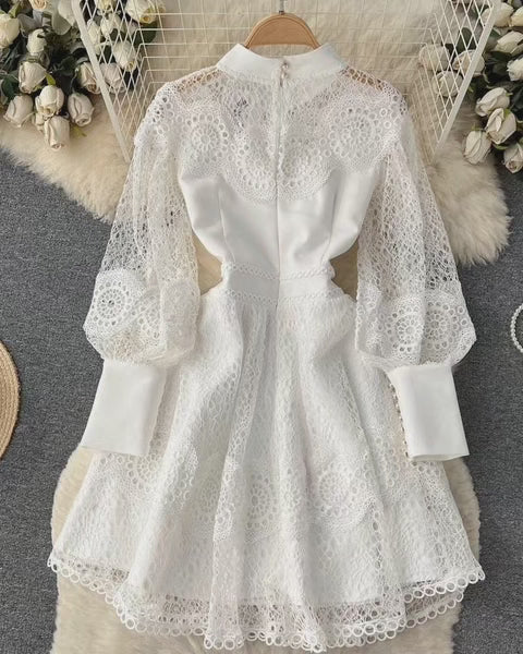 Elegant Lace A - Line Puff Sleeve Dress