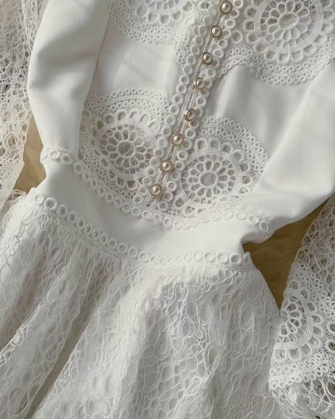 Elegant Lace A - Line Puff Sleeve Dress