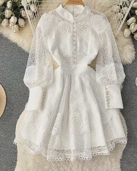 Elegant Lace A - Line Puff Sleeve Dress